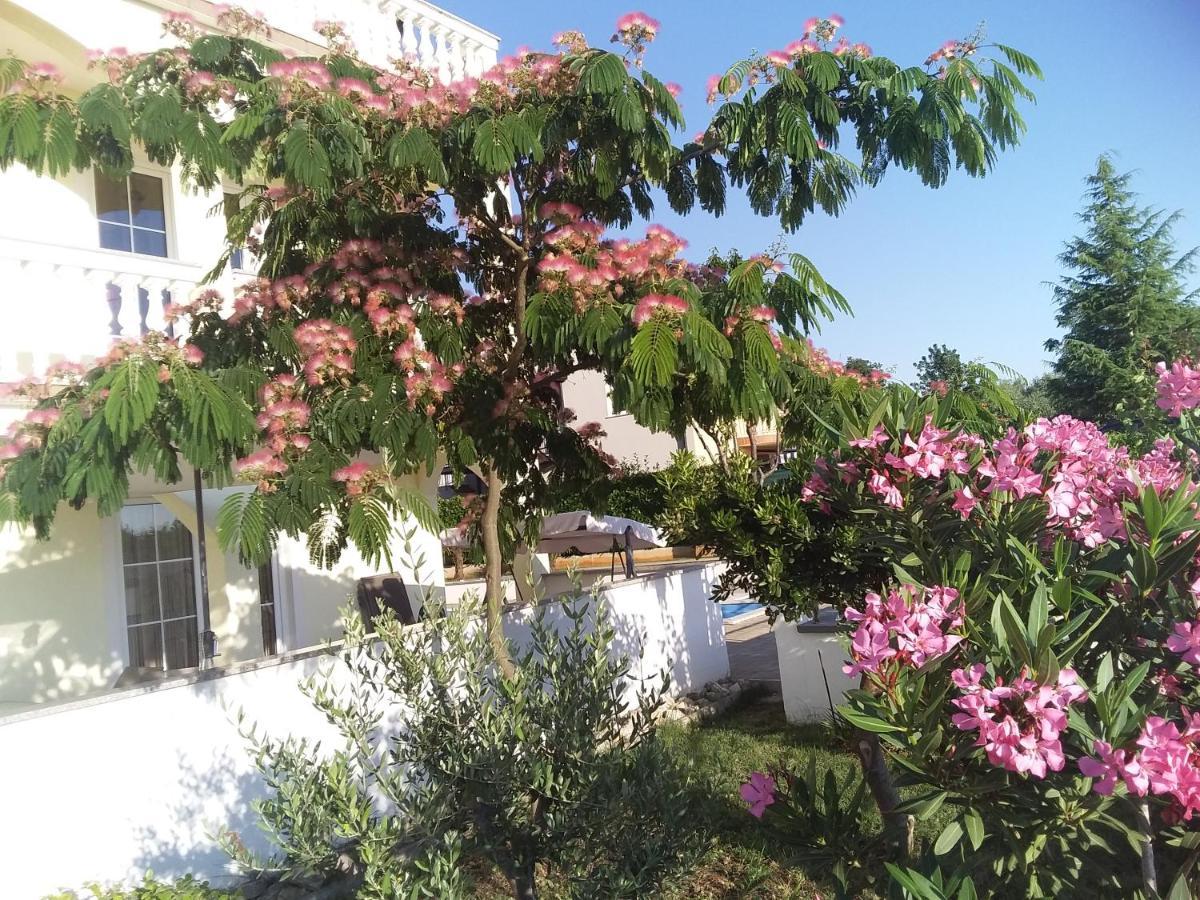 House Apartments Ariamare Poreč Exterior foto
