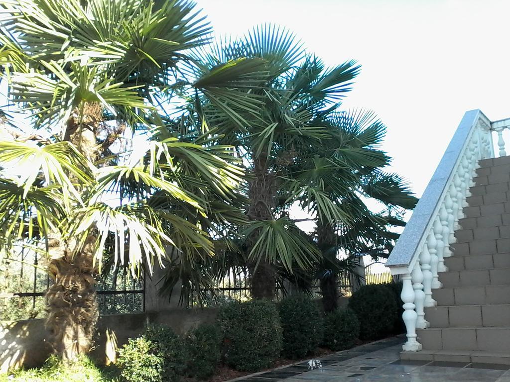 House Apartments Ariamare Poreč Exterior foto
